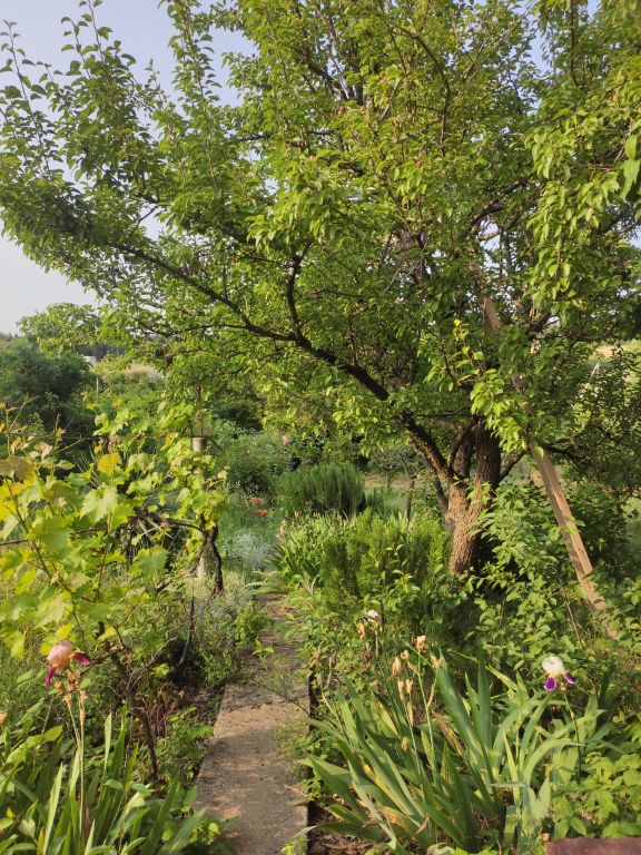 Продажа дачи, 4 сот., Севастополь, СТ Строитель 2 (Фиолент)