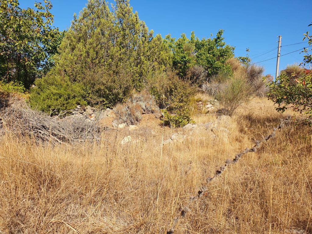 Продажа участка, Севастополь, СТ Техника