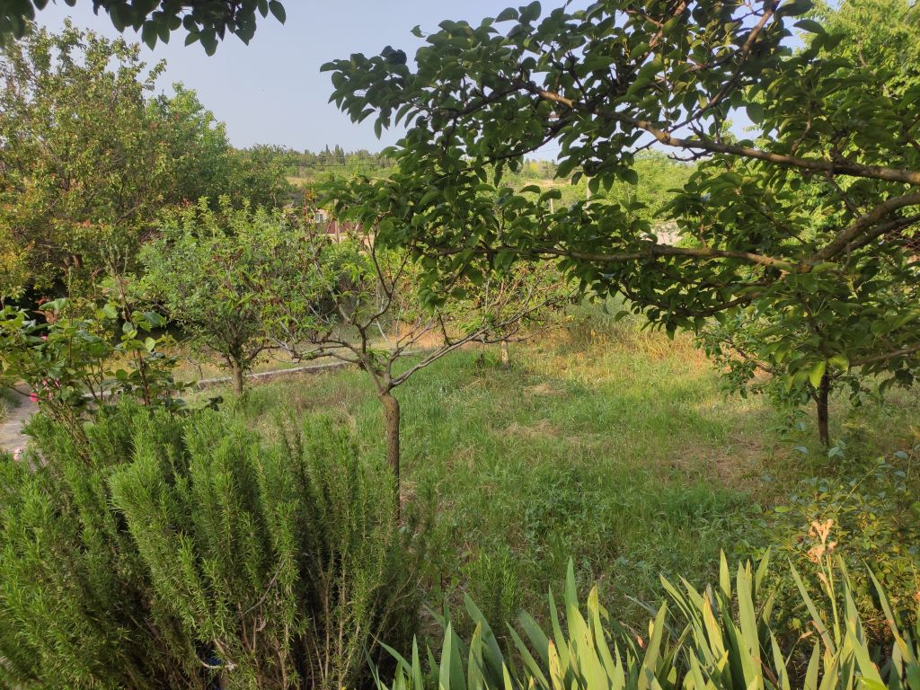 Продажа дачи, 4 сот., Севастополь, СТ Строитель 2 (Фиолент)