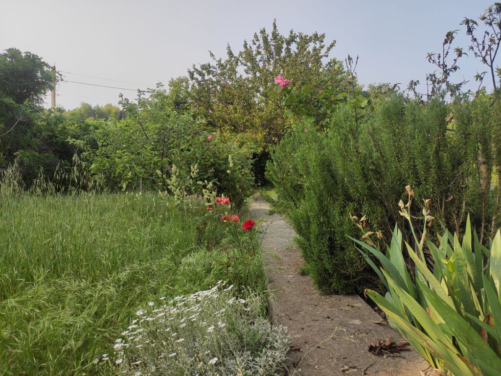 Продажа дачи, 4 сот., Севастополь, СТ Строитель 2 (Фиолент)