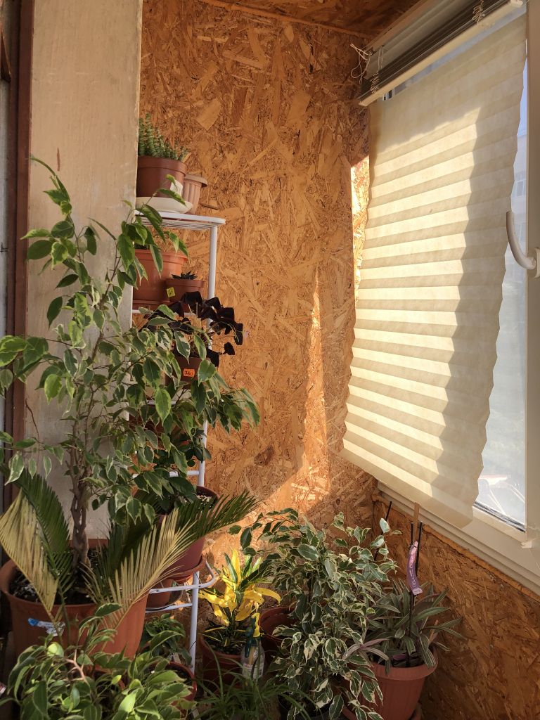 Продажа 2-комнатной квартиры, Севастополь, Адмирала Фадеева,  19